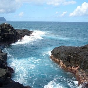 Meet your Posher, Dena